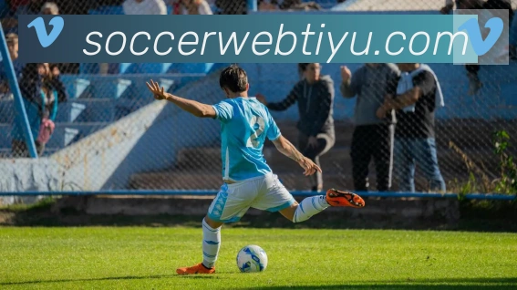 全球热力图